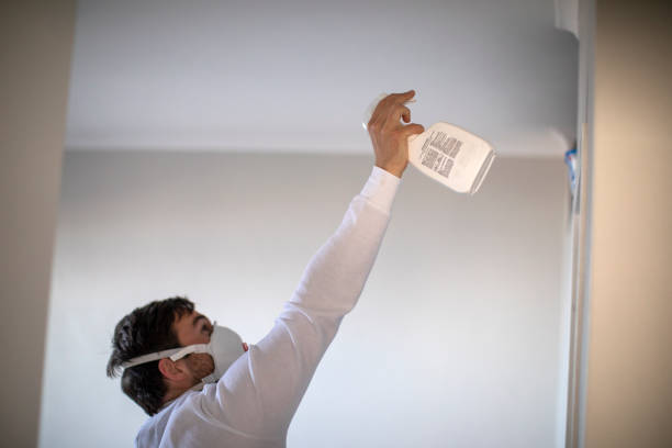 Best Mold Testing  in Kittery Point, ME